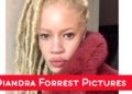 Diandra forrest photo gallery