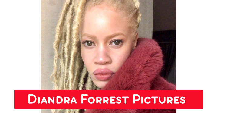 Diandra forrest photo gallery