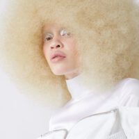 Diandra forrest afro hair