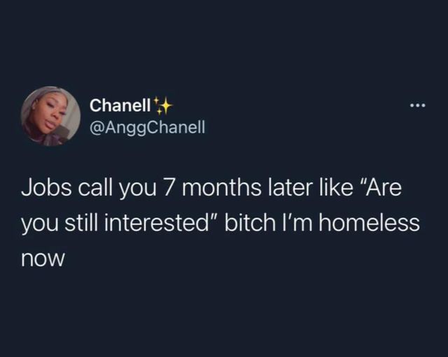 Jobs contact you 7 months later now you are homeless meme