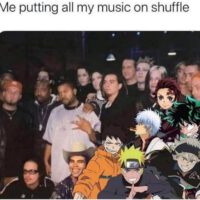 Me putting my music on shuffle meme